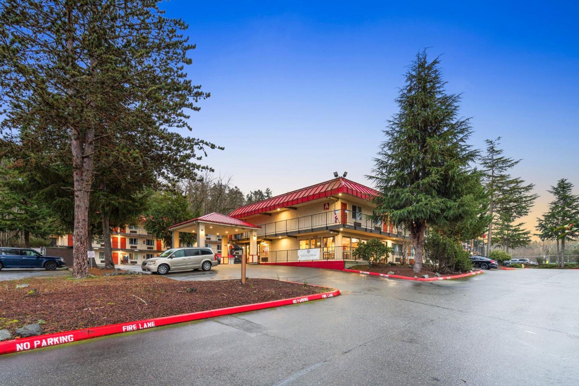 Oyo Wa Bellevue